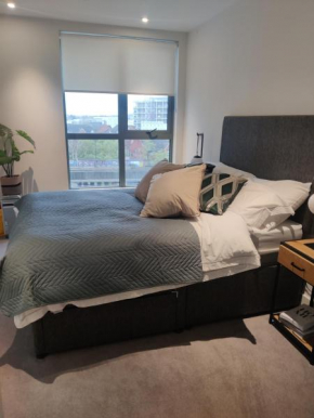 Modern room